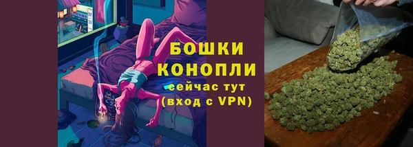 шишки Баксан