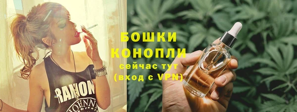 шишки Баксан
