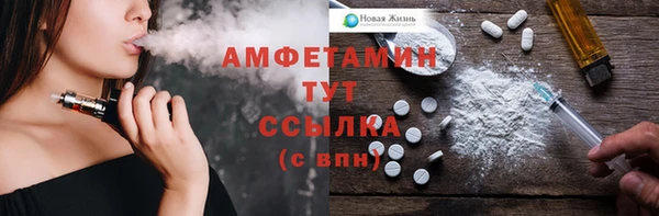 шишки Баксан
