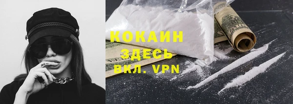 шишки Баксан