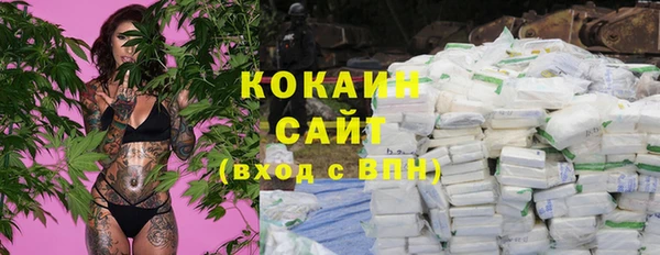 шишки Баксан